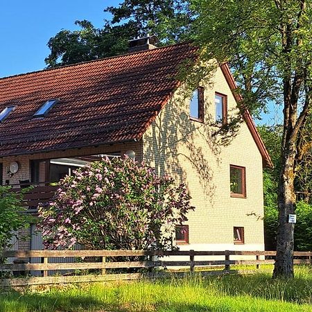 Ferienwohnungen Haus am Karpfenteich Goslar Exterior foto