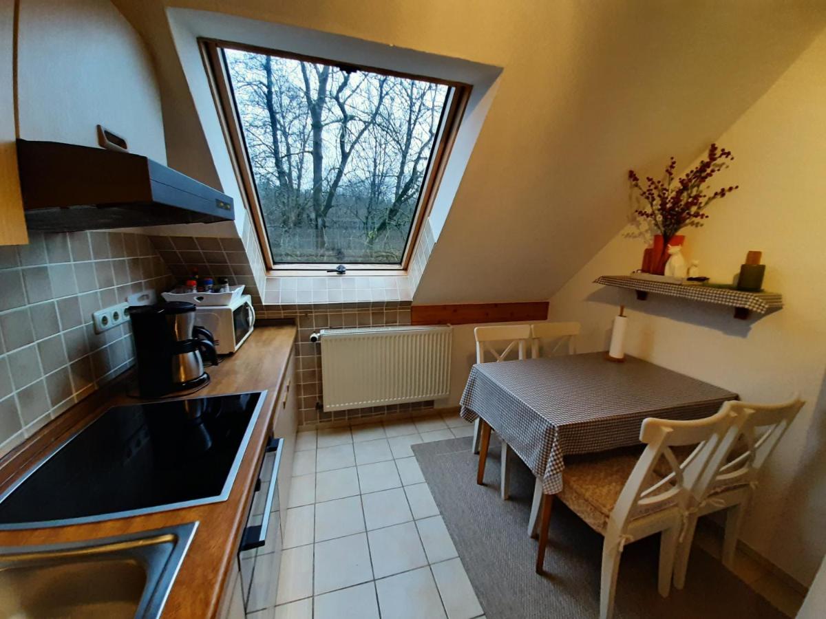 Ferienwohnungen Haus am Karpfenteich Goslar Exterior foto