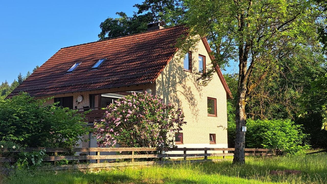 Ferienwohnungen Haus am Karpfenteich Goslar Exterior foto